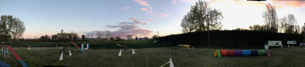 Agility Dog Educazione Cinofila - Terni