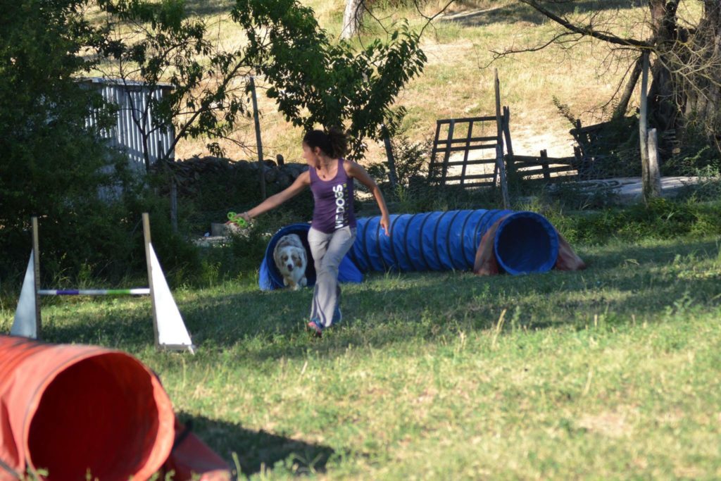 Agility Dog Educazione Cinofila - Terni