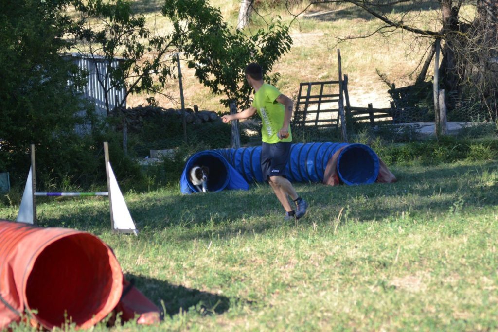 Agility Dog Educazione Cinofila - Terni