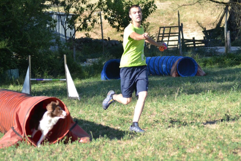 Agility Dog Educazione Cinofila - Terni