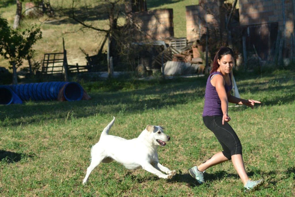 Agility Dog Educazione Cinofila - Terni