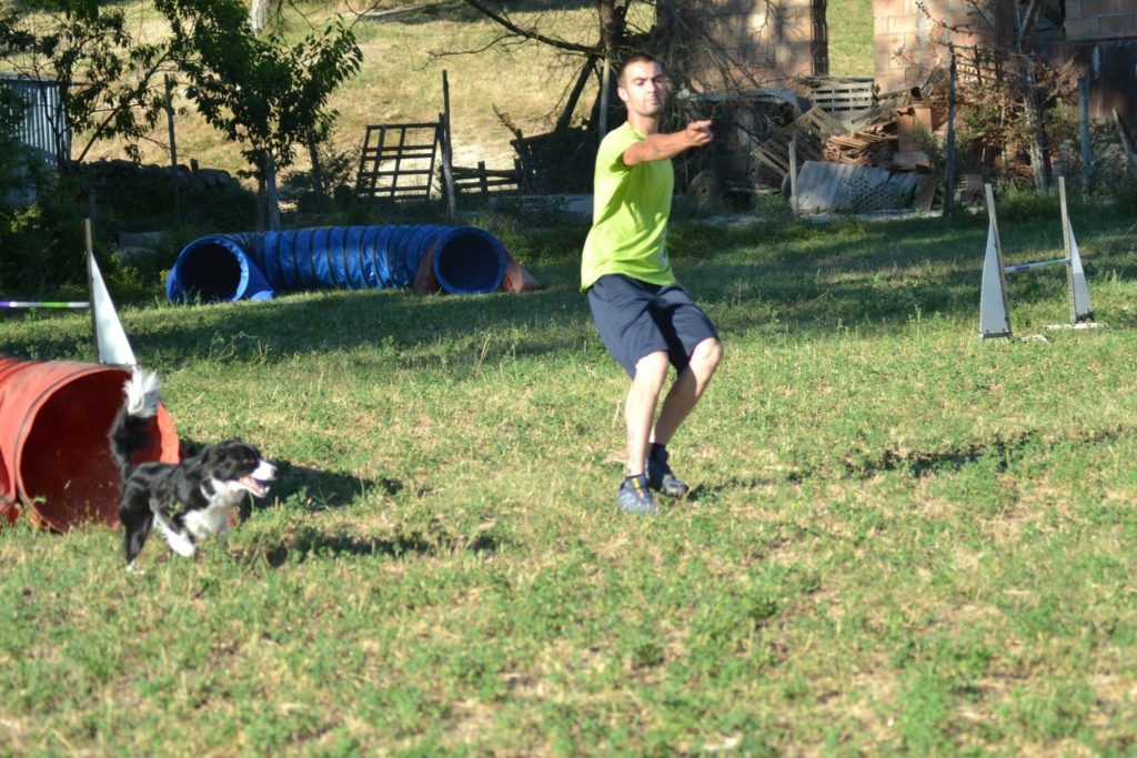 Agility Dog Educazione Cinofila - Terni