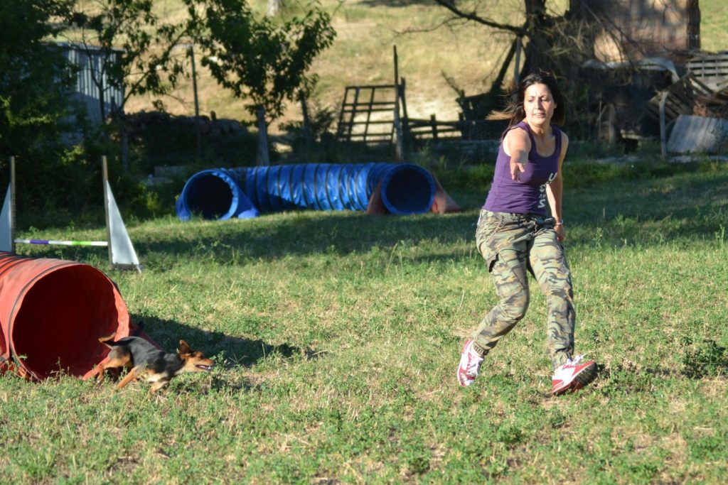 Agility Dog Educazione Cinofila - Terni