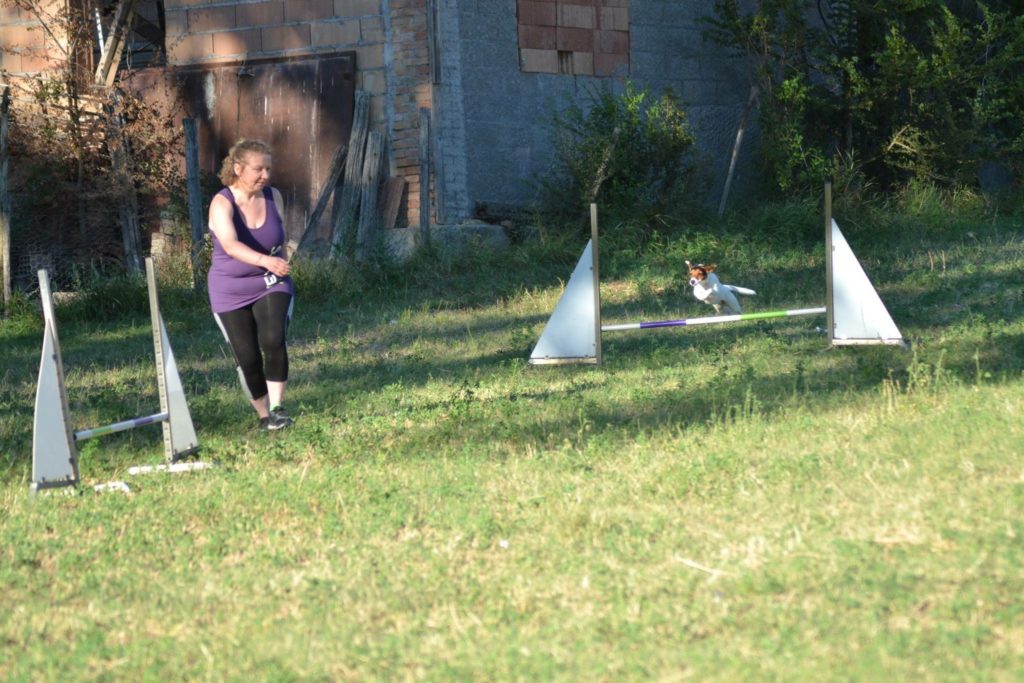 Agility Dog Educazione Cinofila - Terni