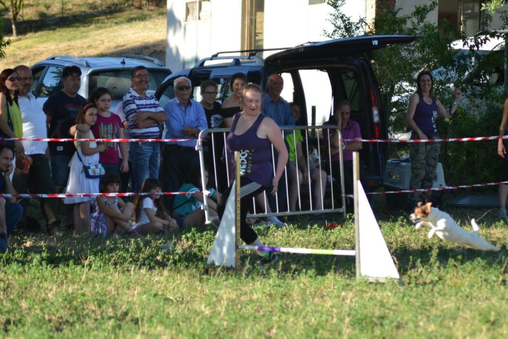 Agility Dog Educazione Cinofila - Terni