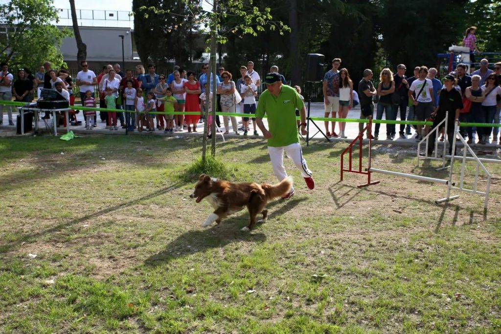 Agility Dog Educazione Cinofila - Terni