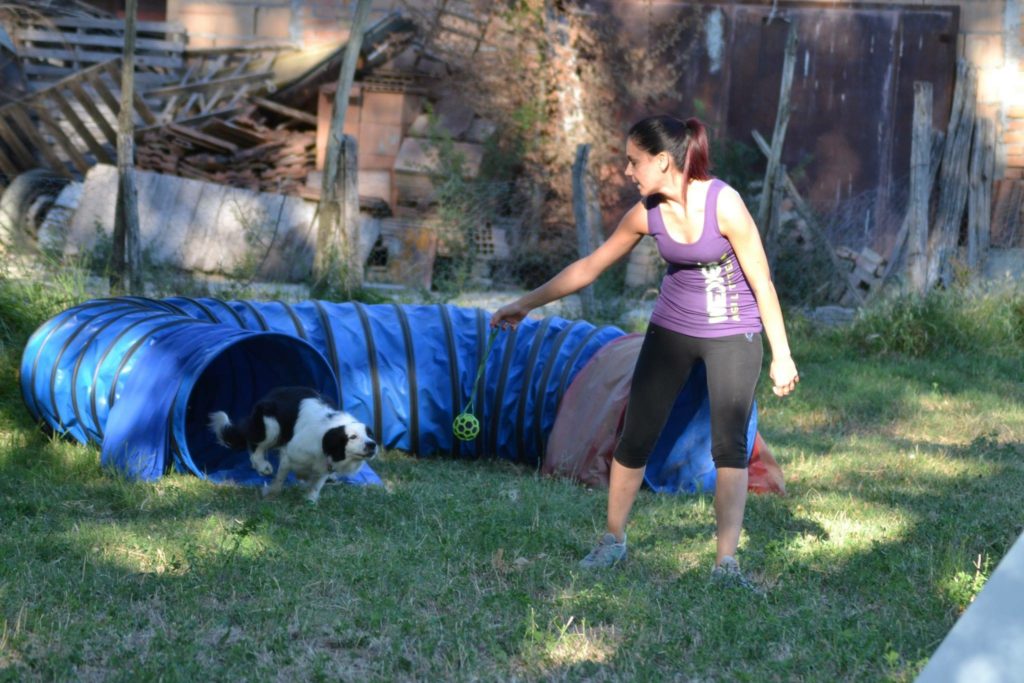 Agility Dog Educazione Cinofila - Terni