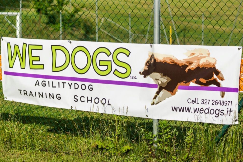 Agility Dog Educazione Cinofila - Terni