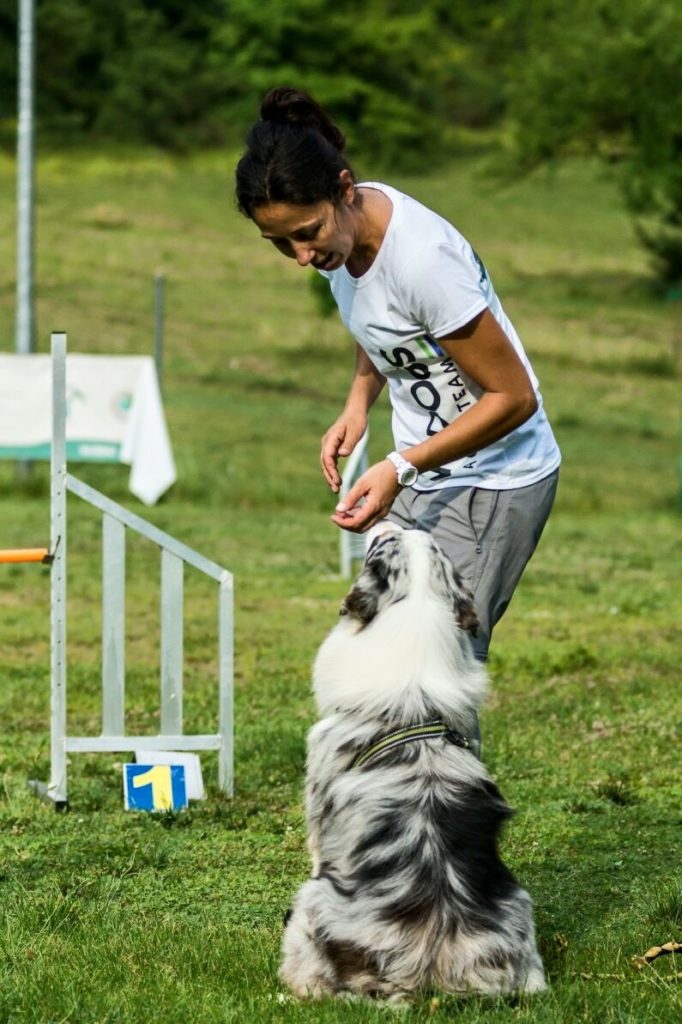 Agility Dog Educazione Cinofila - Terni