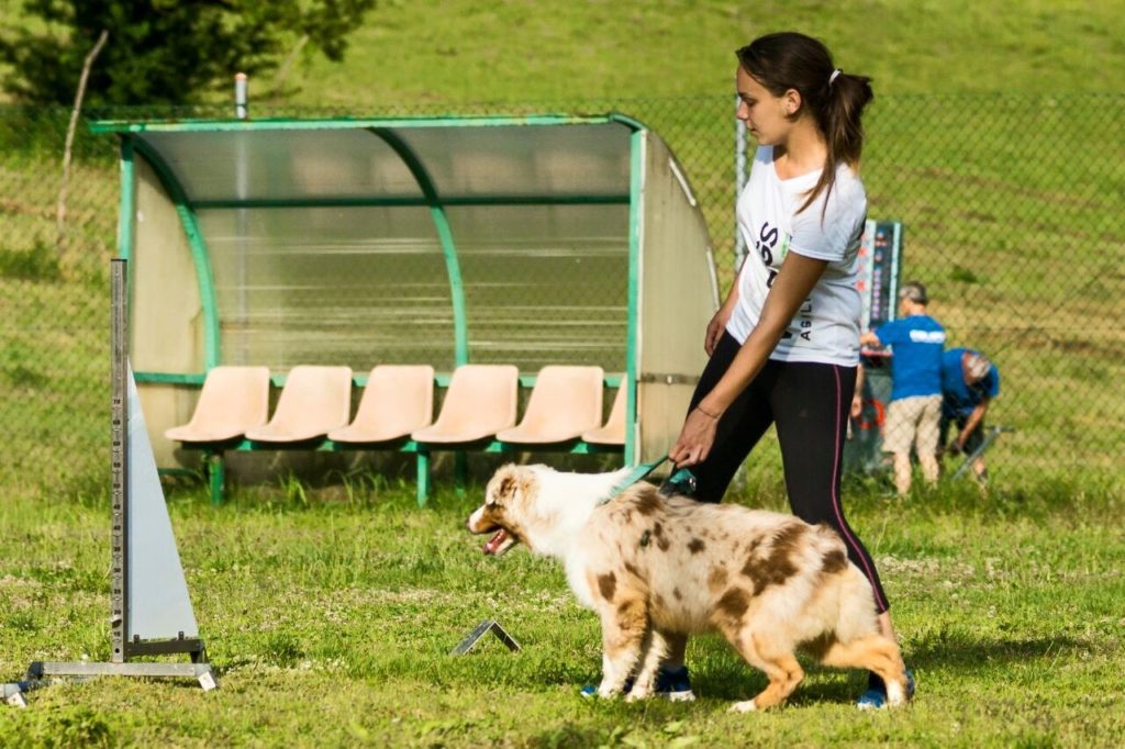 Agility Dog Educazione Cinofila - Terni