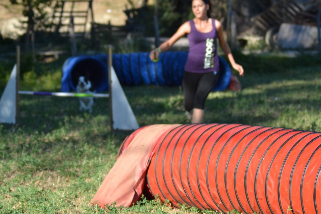 Agility Dog Educazione Cinofila - Terni