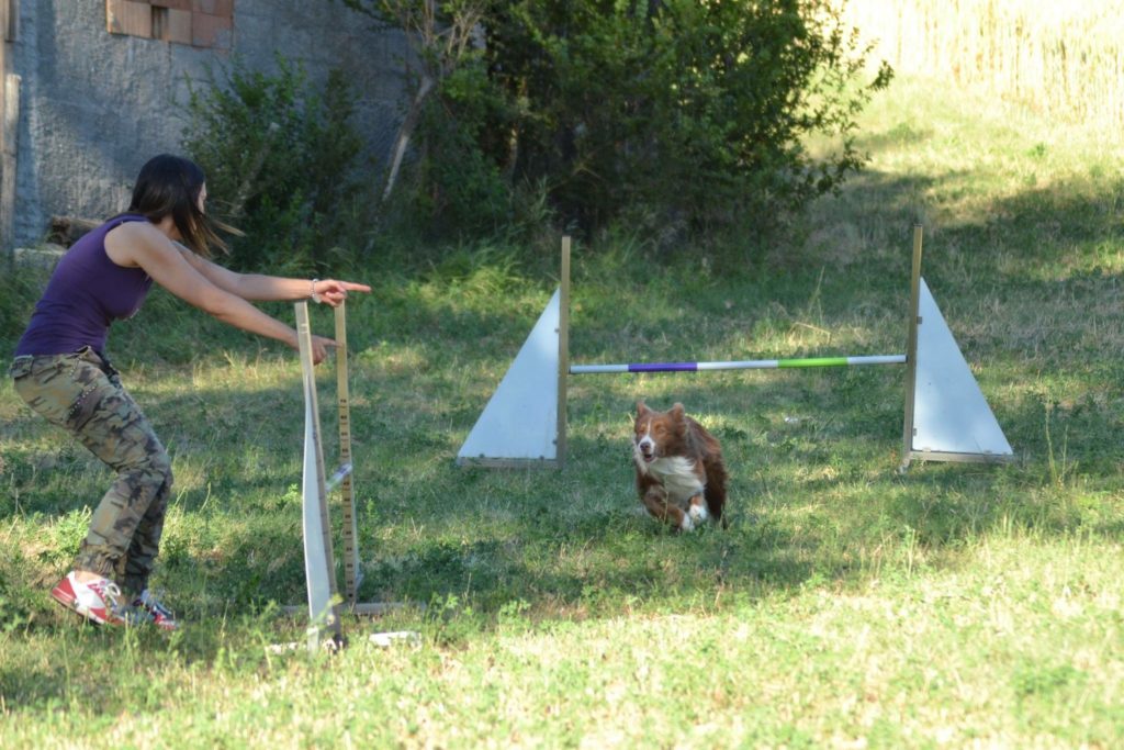 Agility Dog Educazione Cinofila - Terni