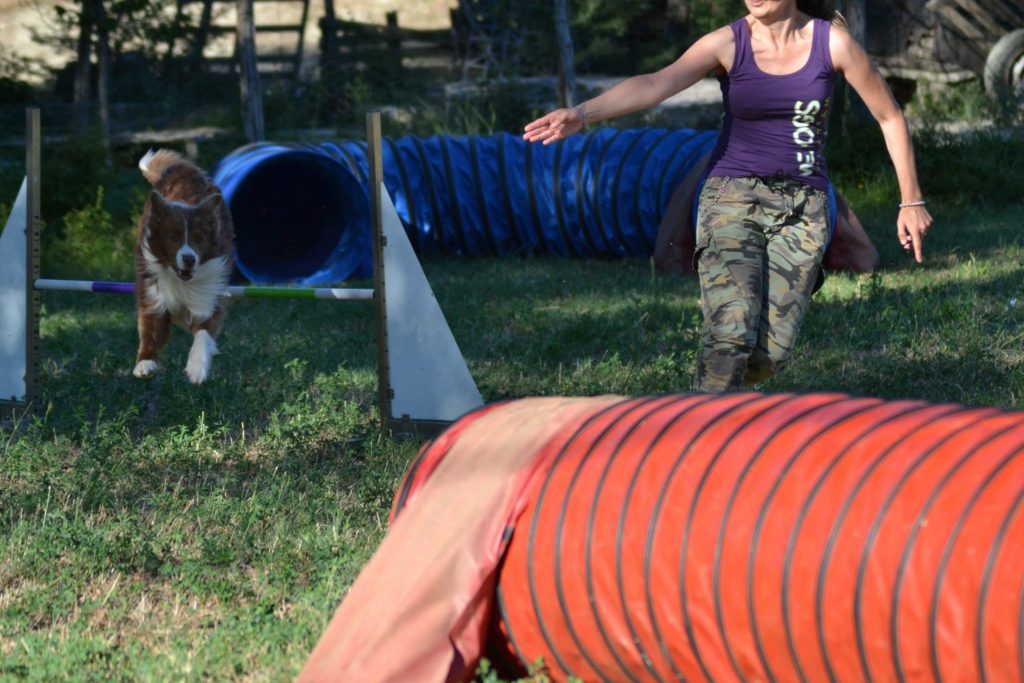 Agility Dog Educazione Cinofila - Terni