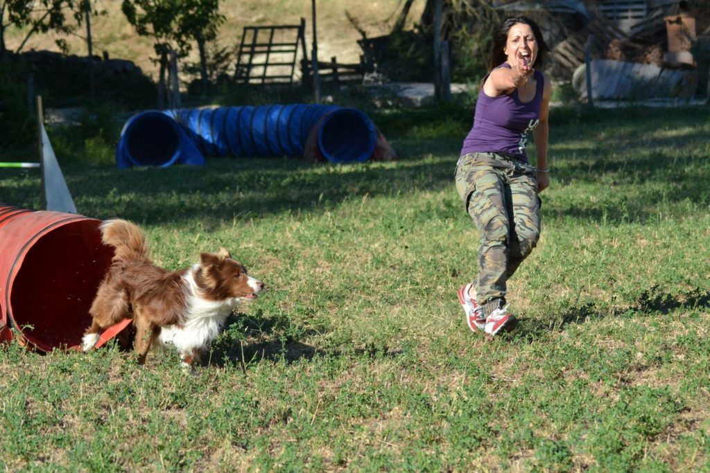 Agility Dog Educazione Cinofila - Terni