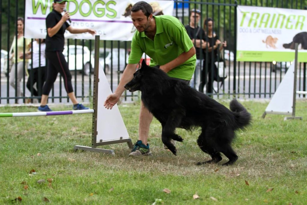 Agility Dog Educazione Cinofila - Terni